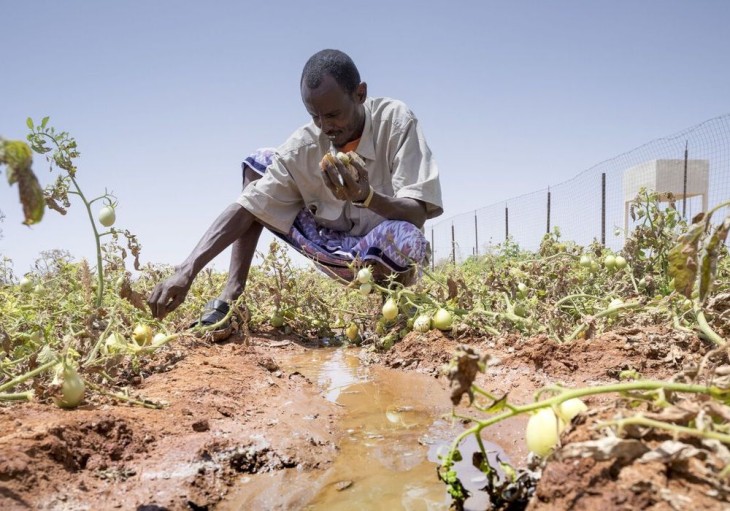 36-årige Faisal Yusuf er landmand i Somalia/Somaliland. Oxfam støttede ham i renoveringen af hans vandboring og gav ham undervisning i vedligeholdelse af solenergisystemet.