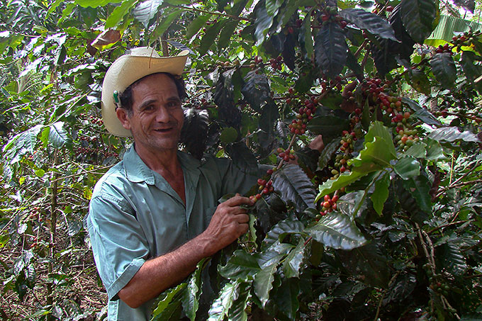 jose-antonio-hernandez-cafe-organico-guacamaya-coaprocl-honduras-per-bergholdt-jensen680x453.jpg
