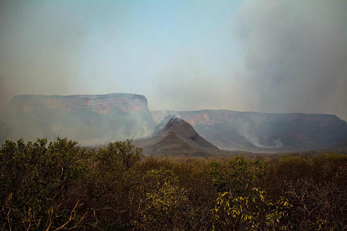 Store dele af Amazonas står i flammer. Oxfam kæmper sammen med områdets oprindelige folk for at slukke ilden og bevare regnskoven 