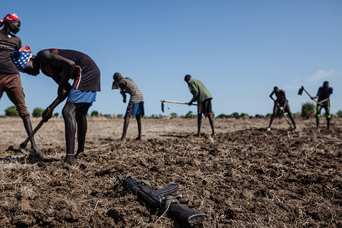 farming_and_guns_bajarial_south_sudan_photo_william_vest-lillesoe.jpg